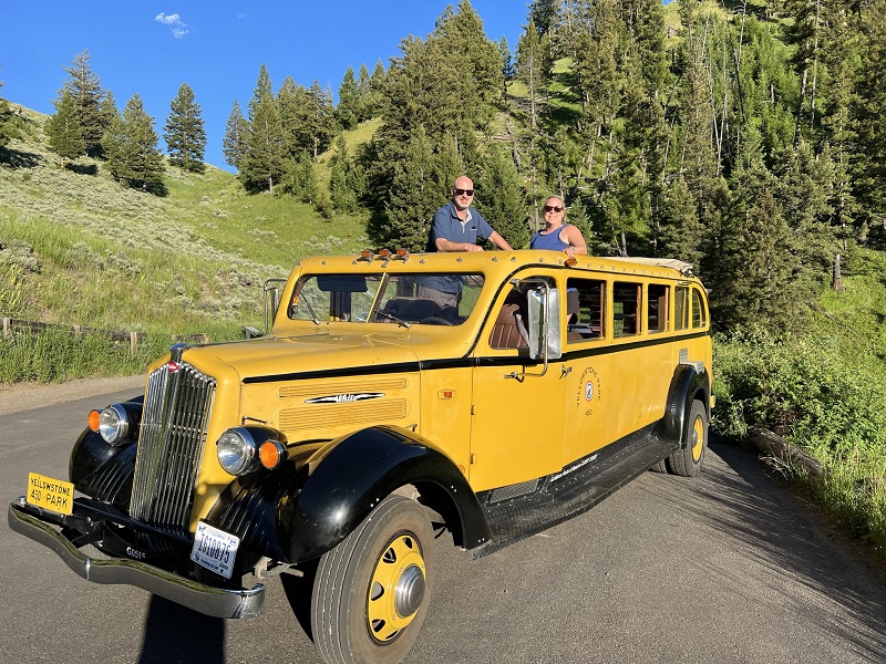 Evening Wildlife Tour in Yellowstone Working Family Travels